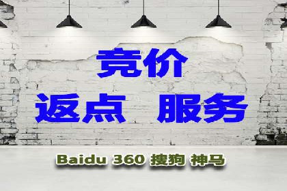 百度竞价代理技巧：经典成功案例解析